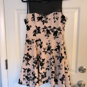 Trixxi blush pink and black dress with mesh and velvet floral detail